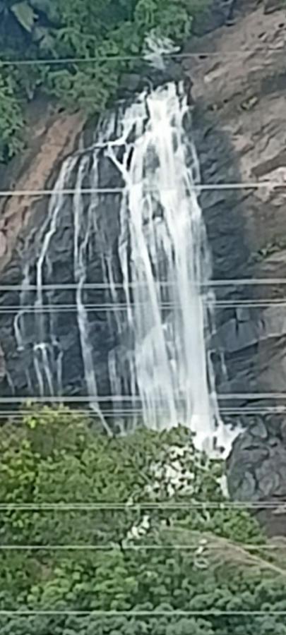 4 Acre Woods Farm Stay Munnar Exterior foto