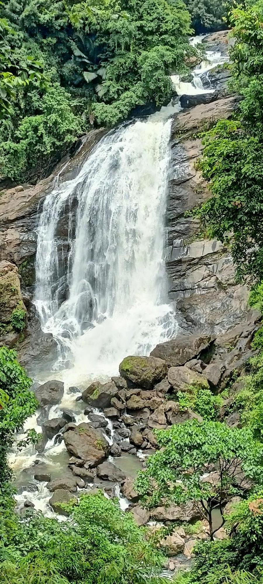 4 Acre Woods Farm Stay Munnar Zimmer foto